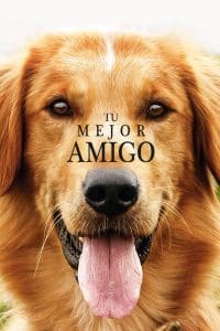 Poster for the movie "Tu mejor amigo"