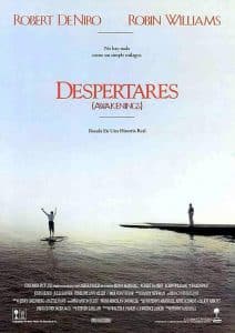 Poster for the movie "Despertares"