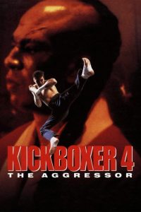 Poster for the movie "Kickboxer 4: El Agresor"
