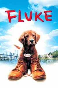 Poster for the movie "Mi amigo Fluke"